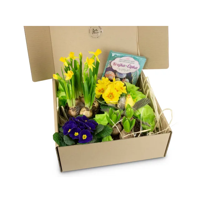 Spring blooming box